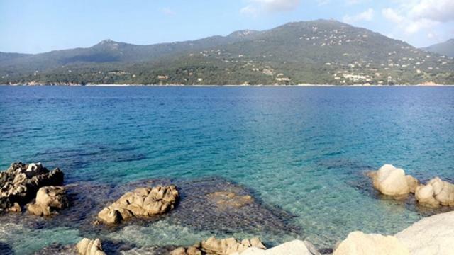 Magnifique Appartement Devant La Plage Propriano  Dış mekan fotoğraf