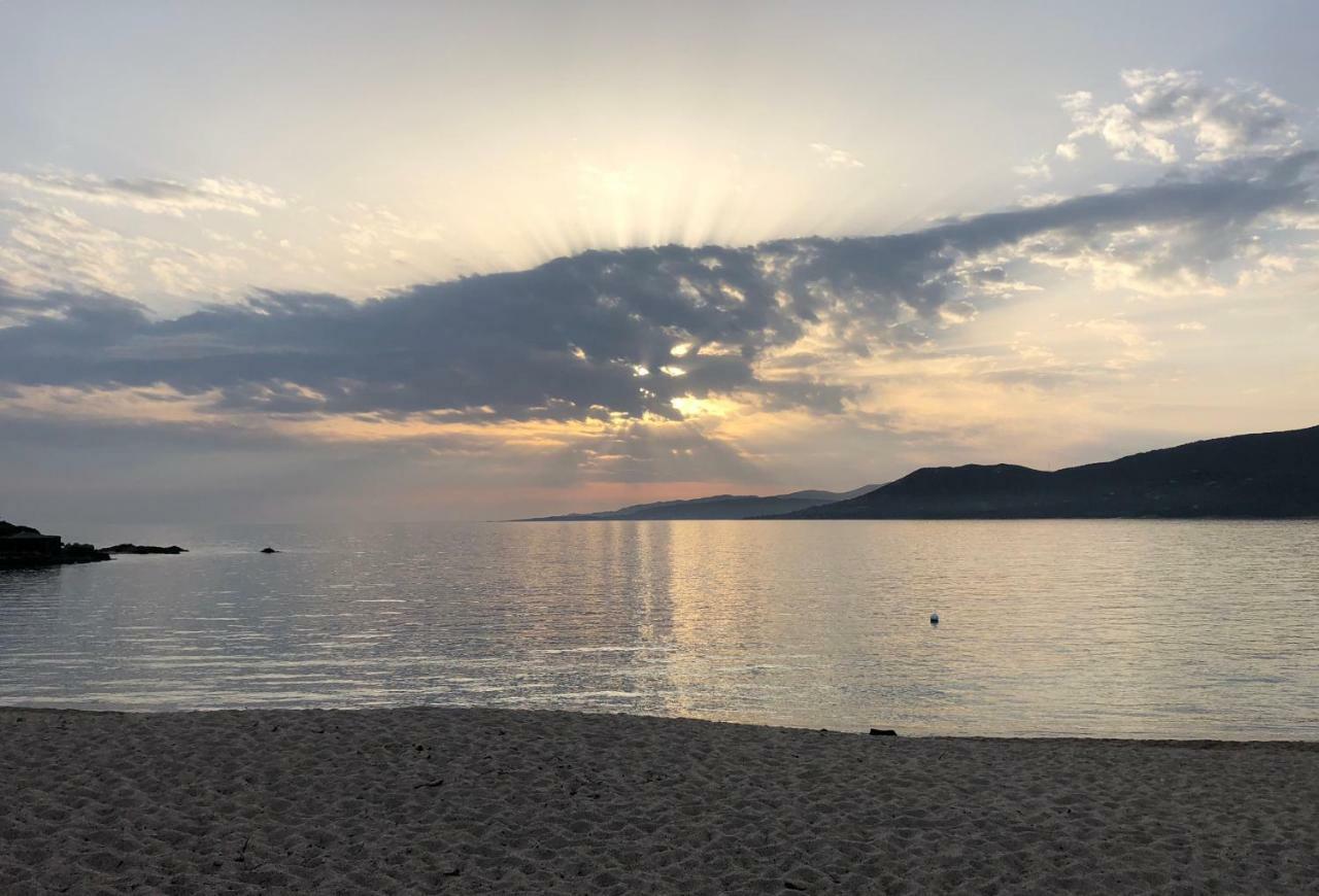 Magnifique Appartement Devant La Plage Propriano  Dış mekan fotoğraf