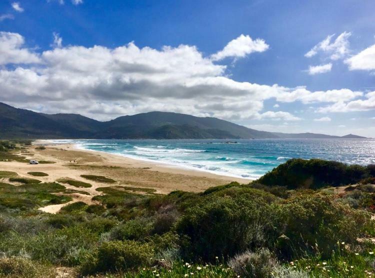 Magnifique Appartement Devant La Plage Propriano  Dış mekan fotoğraf